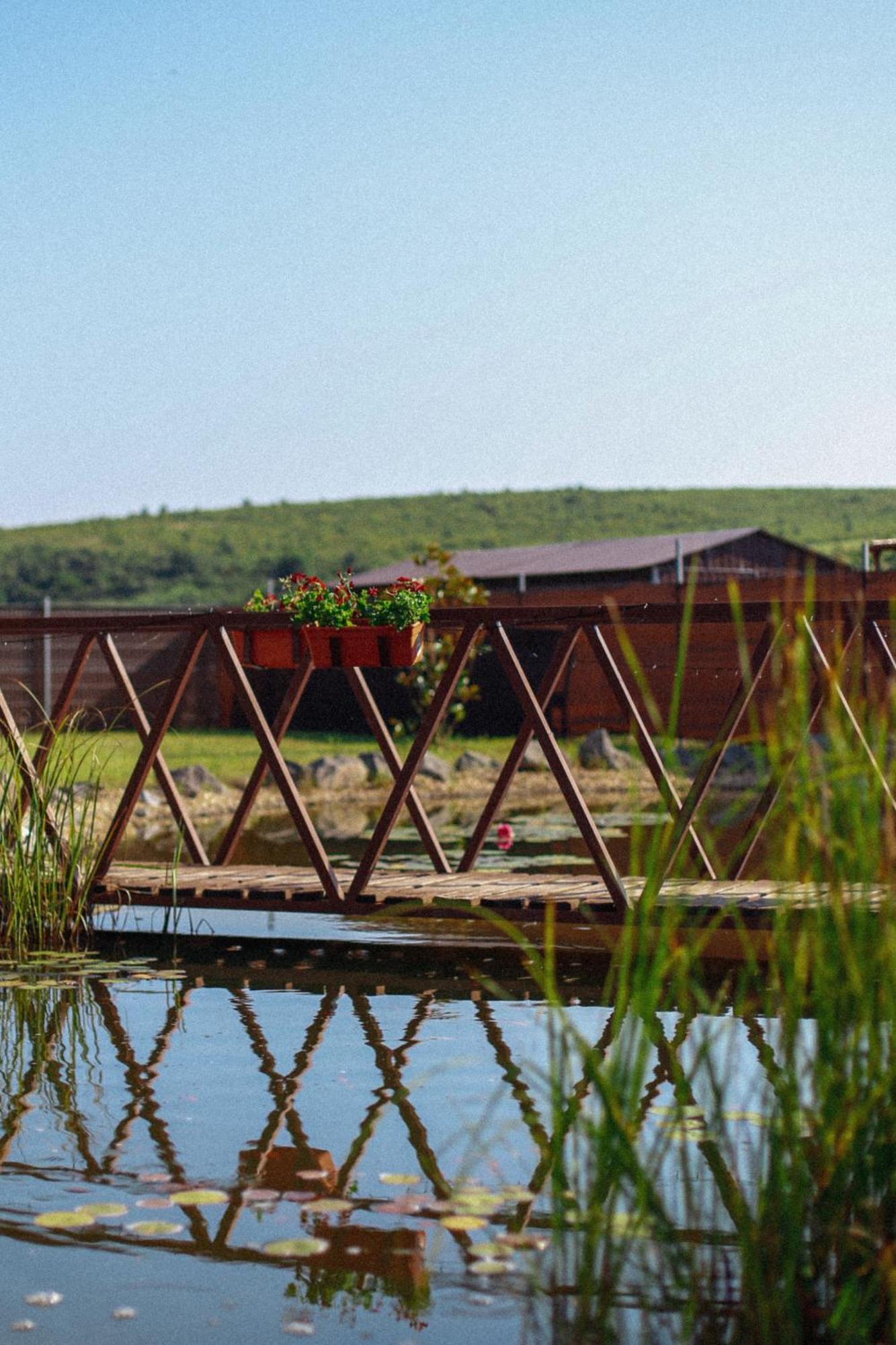 Megnyugtat-Lak Apartmanhaz Demjén Exterior foto
